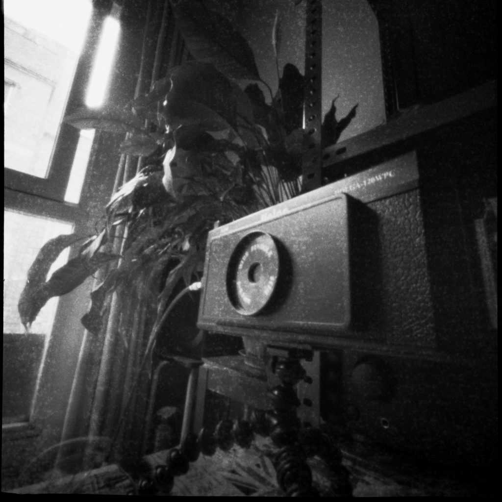 Holga 120 WPC