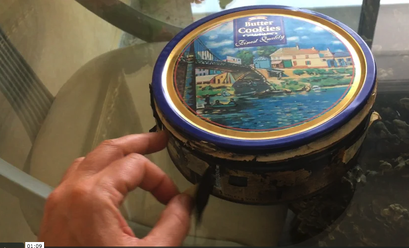 Lata de galletesa danesas